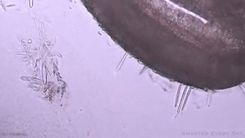 5 Bullet-Time Secrets Revealed By High-Speed Photography