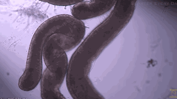 5 Bullet-Time Secrets Revealed By High-Speed Photography