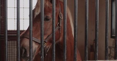 The 3 Worst Christmas Movies Are All Available On Netflix ...