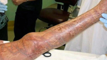 5 Bullet-Time Secrets Revealed By High-Speed Photography