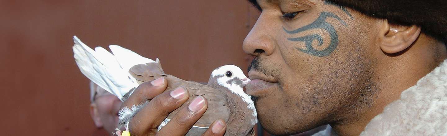 6 Celebrities (You Never Realized Have Terrifying Hobbies)