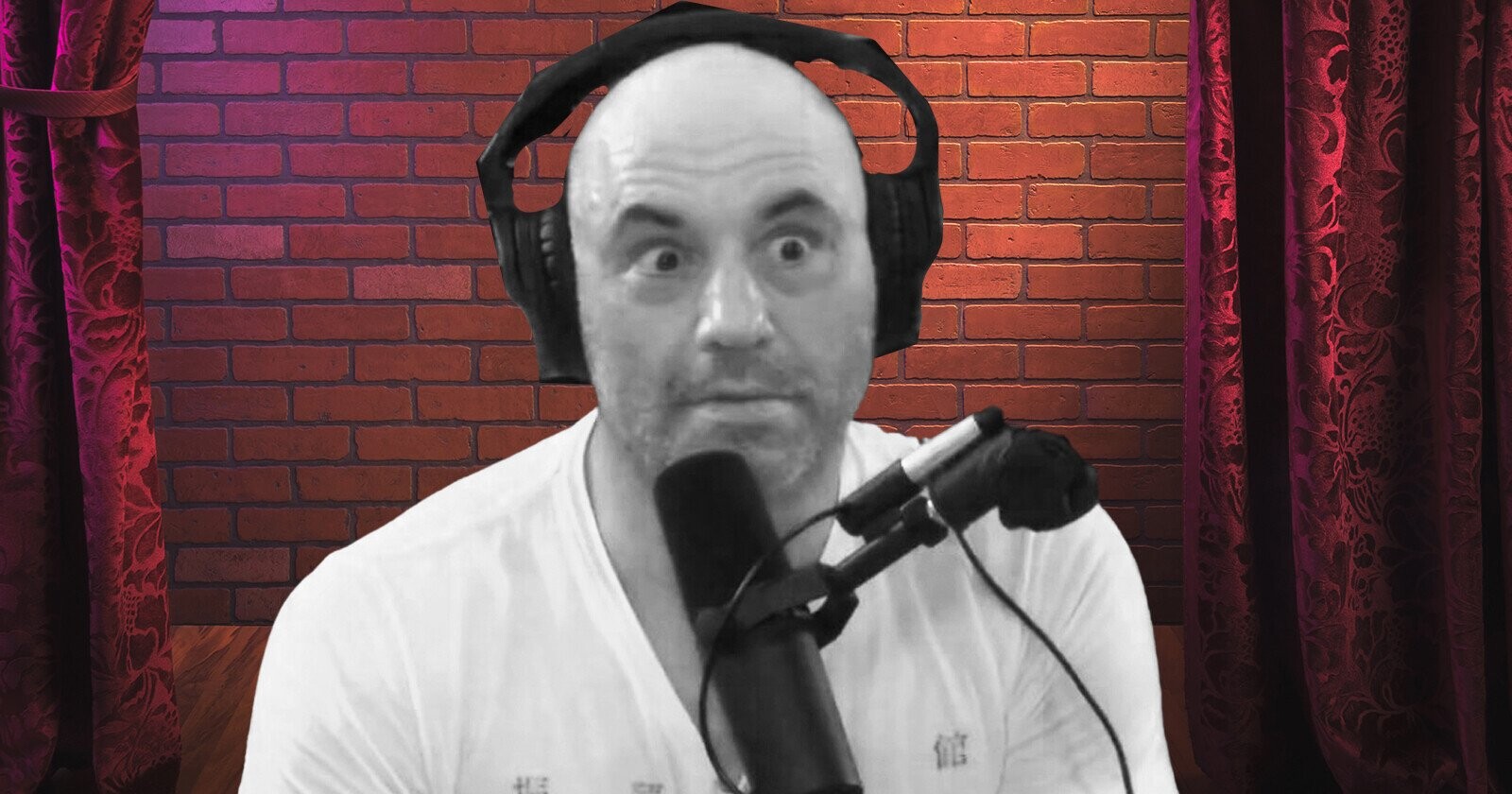 &#039;You Can&#039;t Fire Me from My Own Club!&#039;: Joe Rogan Opens His Own Comedy Club