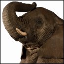 CRACKED ROUND-UP: We Do Not Sell Cocaine, Edition