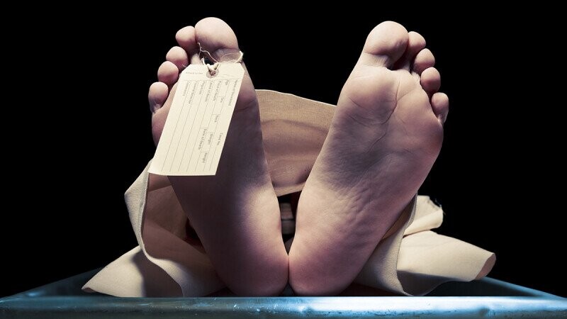 5 Real Horror Stories People Found Themselves Living