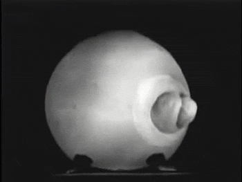 5 Bullet-Time Secrets Revealed By High-Speed Photography