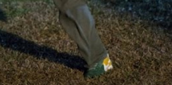 Old shoes in Get Out