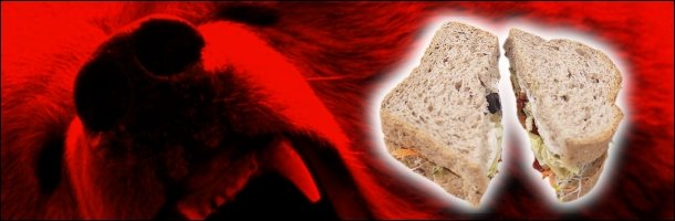 The 7 Most Badass Man vs. Beast Showdowns