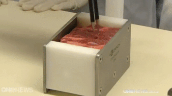 5 Annoying Food Problems Science Will Soon Get Rid Of