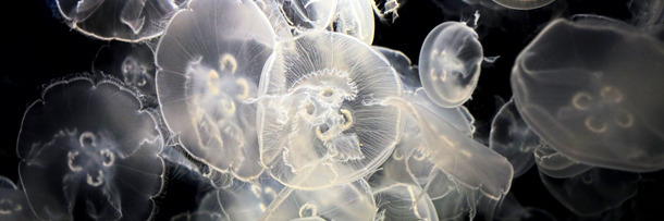 5 Bullet-Time Secrets Revealed By High-Speed Photography