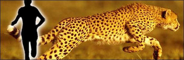 The 7 Most Badass Man vs. Beast Showdowns