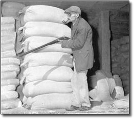 6 Ridiculous History Myths (You Probably Think Are True)