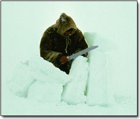 9 Foreign Words the English Language Desperately Needs