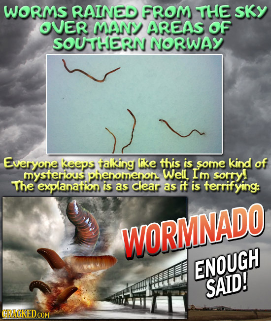WORMS RAINED FROM THE SKY VER MANY AREAS OF SOUTHERN NORWAY Everyone keeps falking like this is some kind of mysterious phenomenon: Well, Im sorty! Th