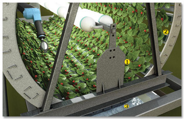 5 Disturbing Ways Food Will Be Different in the Future