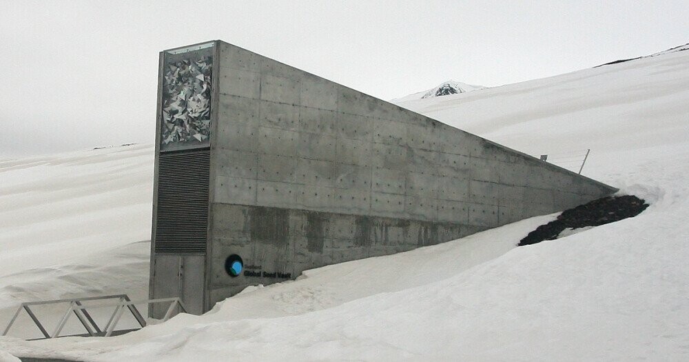 Humankind's Most Valuable Vault Is Filled With Seeds, Not Cash