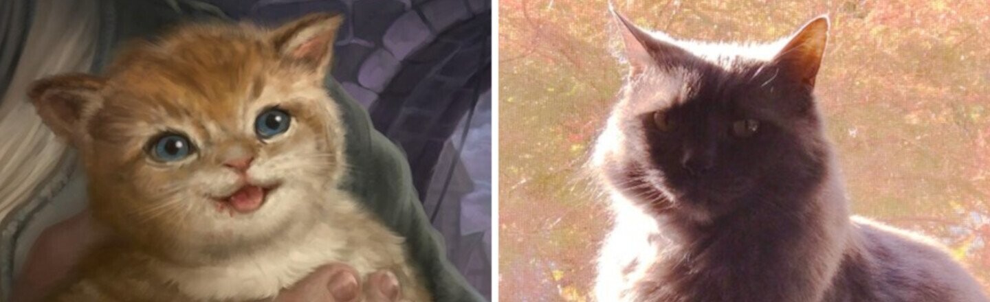 Wholesome Easter Eggs in 'Magic: The Gathering' Art