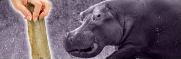 The 7 Most Badass Man vs. Beast Showdowns