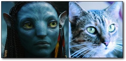 Фотограф делает снимки людей и котов, которые выглядят как двойники Канобу