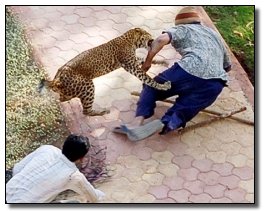 The 7 Most Badass Man vs. Beast Showdowns