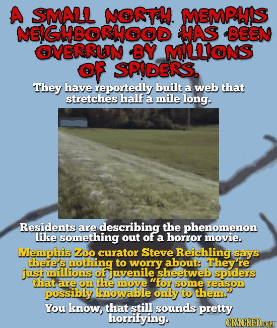 The 14 Most Insane Things Happening Right Now (12/8)