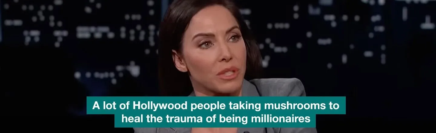 ‘A Lot of Hollywood People Take Mushrooms to Heal the Trauma of Being Millionaires’: Whitney Cummings’ on Drugs in Show Business