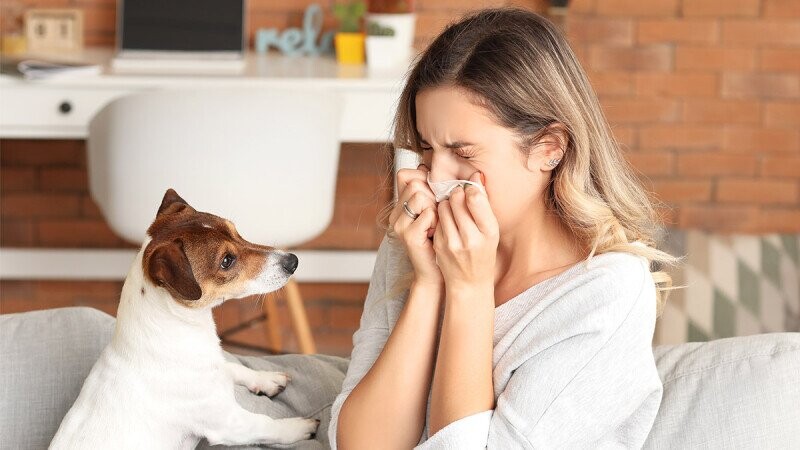 5 Diseases That Dogs Can Smell on You