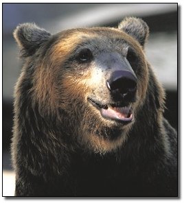 The 7 Most Badass Man vs. Beast Showdowns