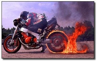 The 7 Most Badass Man vs. Beast Showdowns