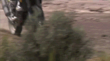 5 Balls-Out Insane Competitions You Won't Believe Are Real 