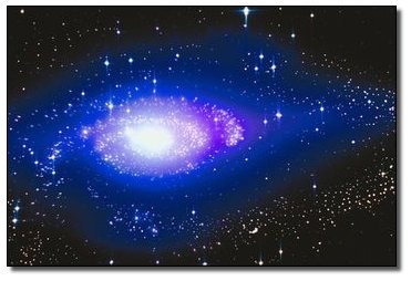 The 7 Most Badass Man vs. Beast Showdowns