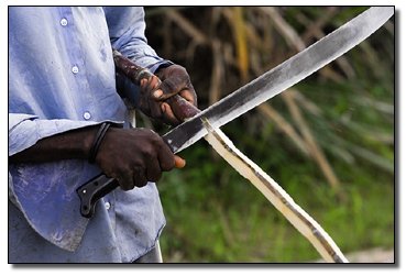 The 7 Most Badass Man vs. Beast Showdowns