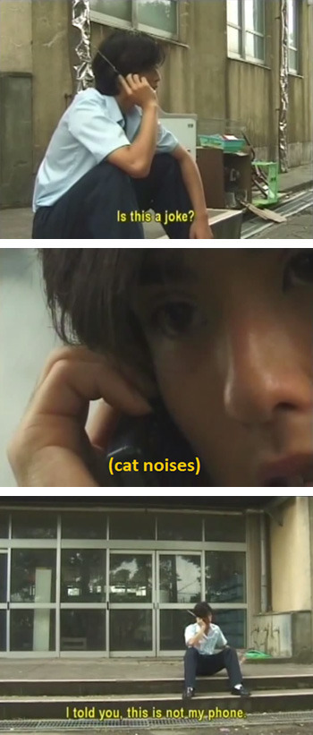 Is this a joke? (cat noises) told you, this is not.my.phone