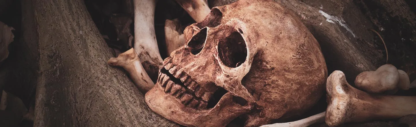 Science Says Your Own Skeleton Is Freaking You Out