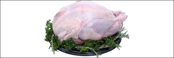 The 5 Most Insane Improvised Weapons (That Were Animals)