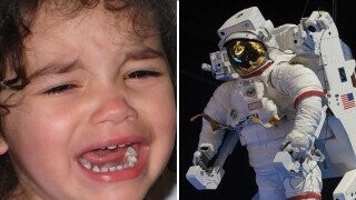 Turns Out Babysitting Billionaire Space Tourists Sucks