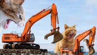 Army Corps of Engineers Releases Calendar of Giant Cats Destroying Buildings Like Godzilla