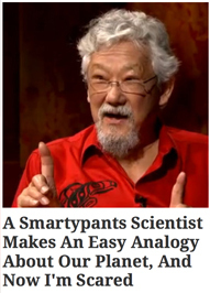 4 Reasons 'Viral' Content Stopped Mattering in 2013