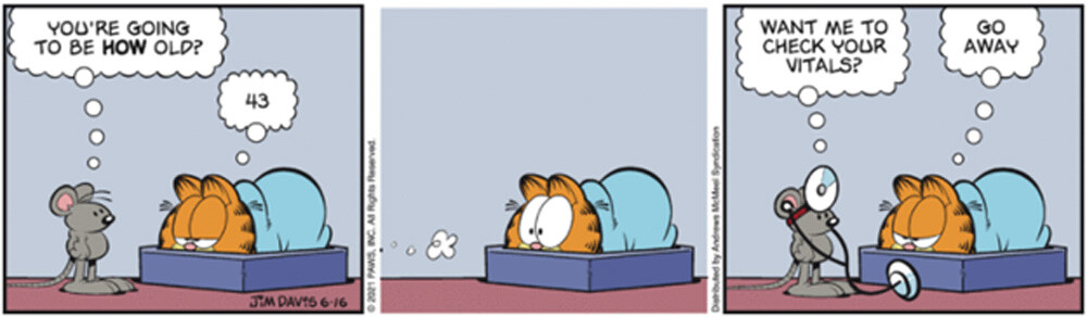 Garfield strip