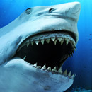 5 Terrifying Animals That Could Save Your Life Someday | Cracked.com