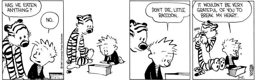 6 Brutal Lessons Calvin And Hobbes Doesn'T Spare | Cracked.Com