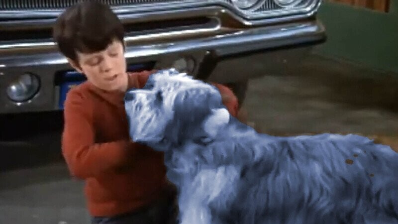 The Tragic Fate of ‘The Brady Bunch’ Dog