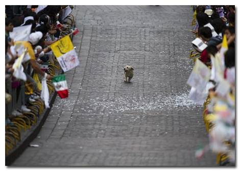 6 True Stories That Will Restore Your Faith in Humanity