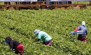 5 Ways Donald Trump Perfectly Mirrors Hitler's Rise To Power