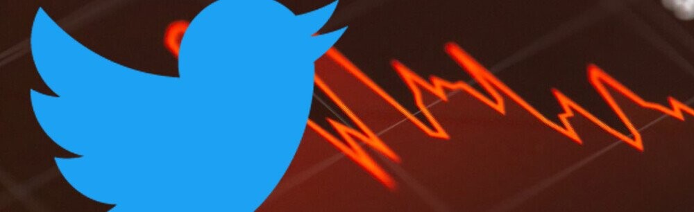 When Twitter Went Public, Confused Investors Bought The Wrong Stock