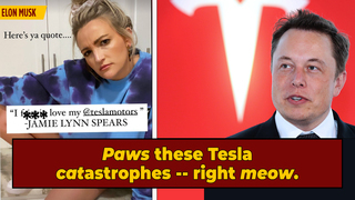 Did 'Space Karen' Elon Musk Kill Jamie Lynn Spears' Cats? 