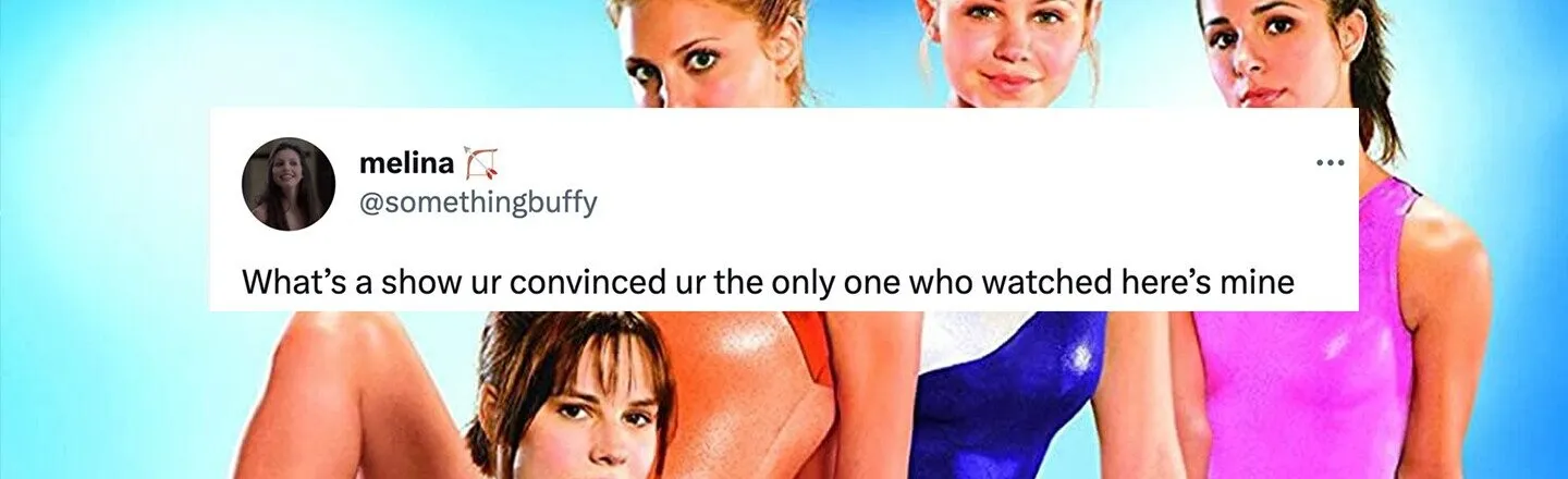 23 Television Shows That You’re Convinced No One Else Watched But You