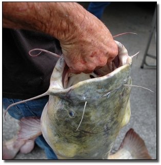 6 Elaborate Forms of Suicide Passed Off as Extreme Sports