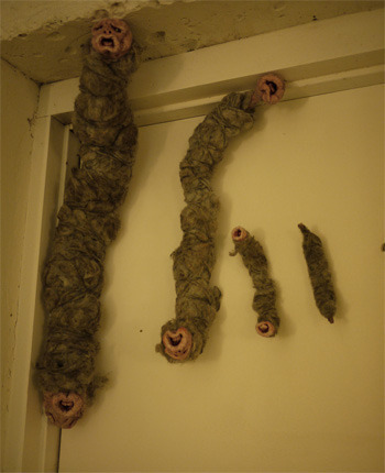 5 Real Museums Scarier Than Any Haunted House