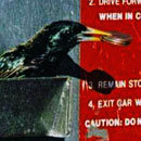 0- IAMIEM IN C 3 REVLIN STO 4 EXIT OAR W CWTION: DOT