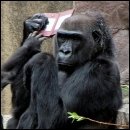 CRACKED ROUND-UP: Black Friday Edition